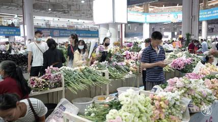 “斗南花市”搜索量增长107% 昆明鲜花经济持续回暖
